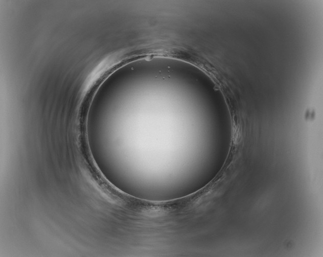 X0000112460198200908171211
