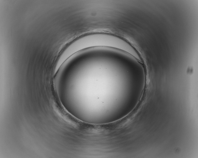 X0000112460201200908171211