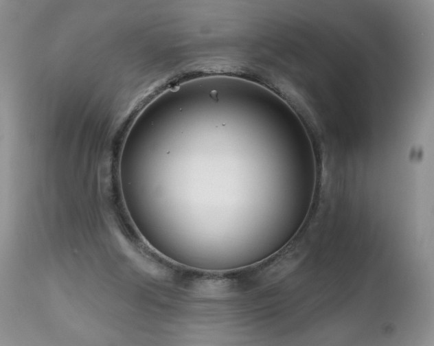 X0000112460202200908171211