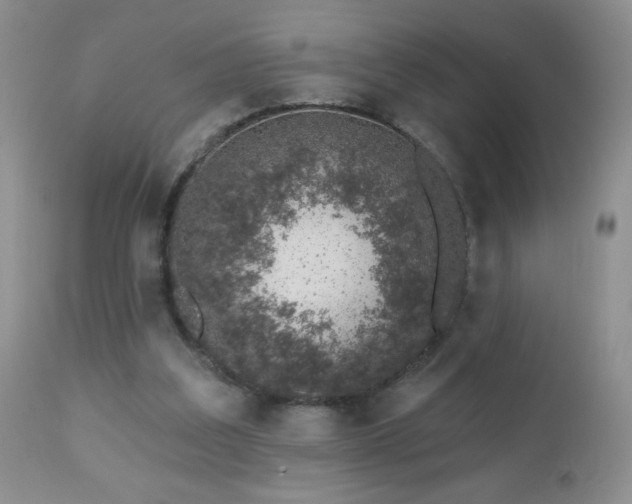 X0000112460203200908171211