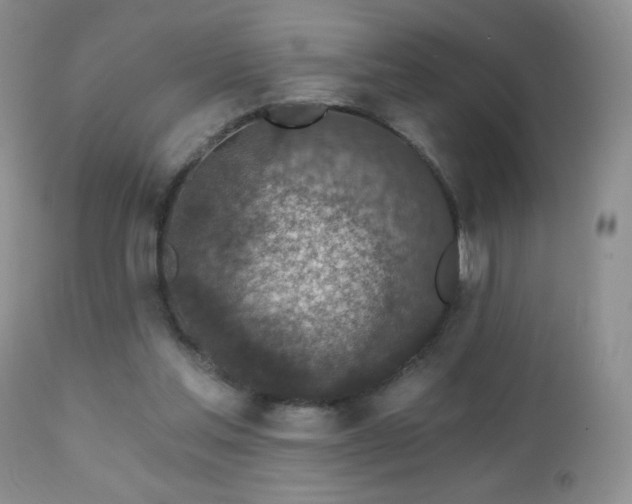 X0000112460205200908171211