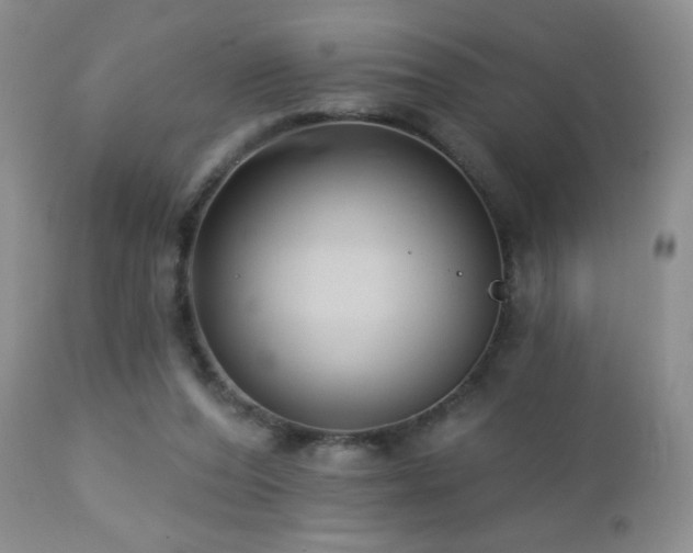 X0000112460208200908171211