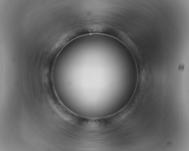 X0000112460209200908171211