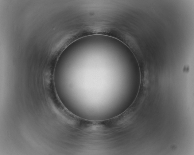 X0000112460210200908171211