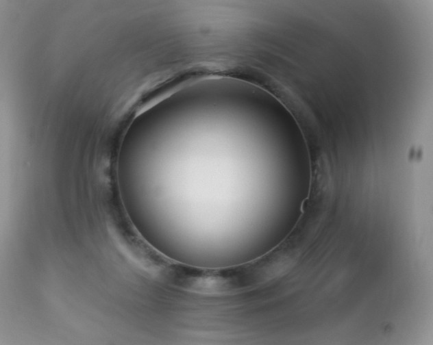 X0000112460212200908171211