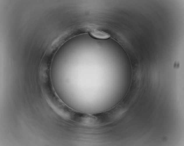 X0000112460215200908171211