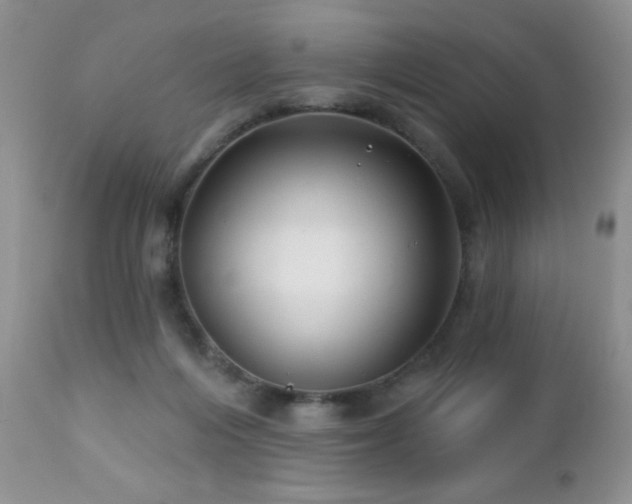 X0000112460216200908171211