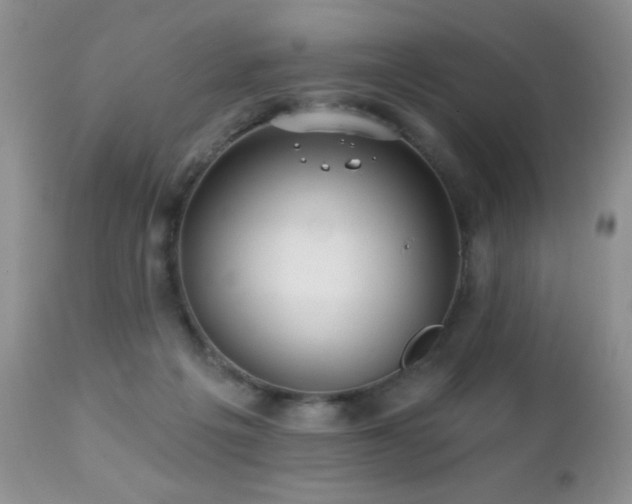 X0000112460217200908171210