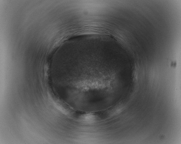 X0000112460219200908171210