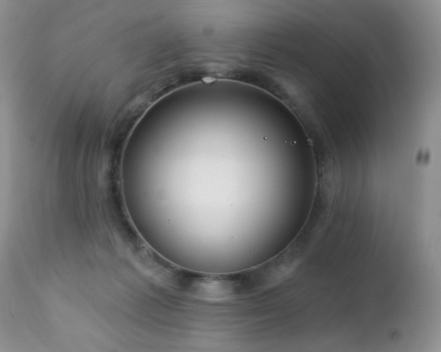 X0000112460221200908171210