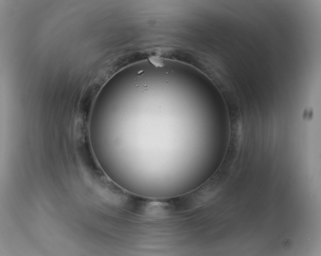 X0000112460222200908171210