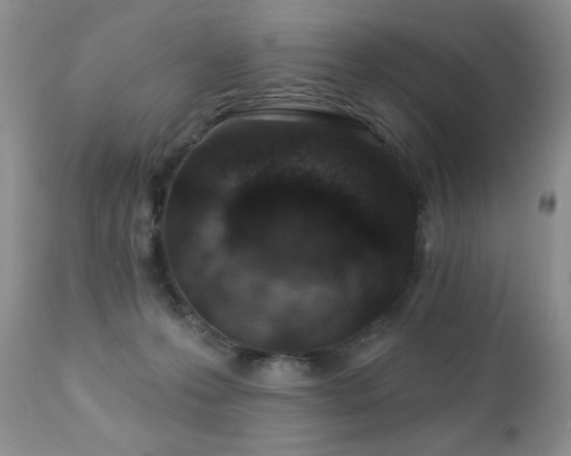 X0000112460223200908171210