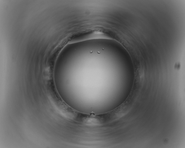 X0000112460224200908171210