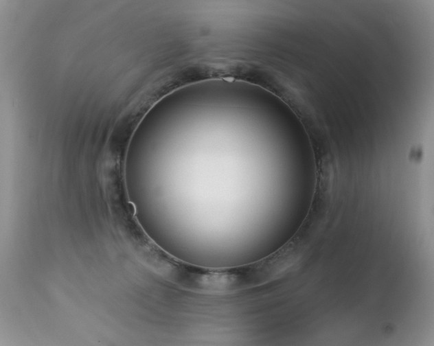 X0000112460225200908171210