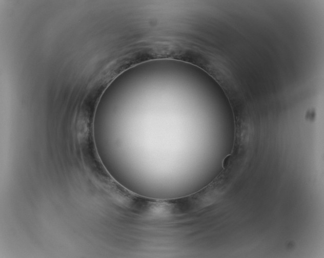 X0000112460226200908171210