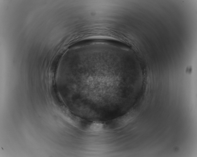 X0000112460227200908171210