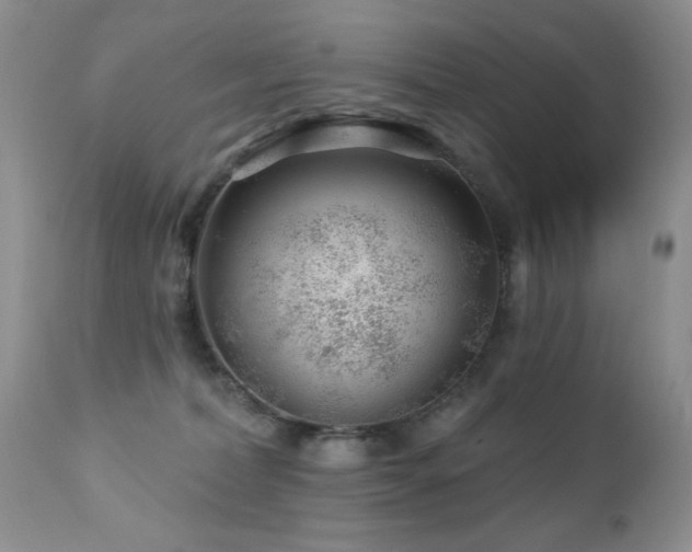 X0000112460228200908171210
