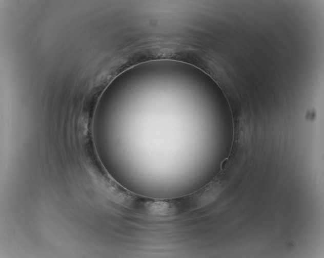 X0000112460230200908171210