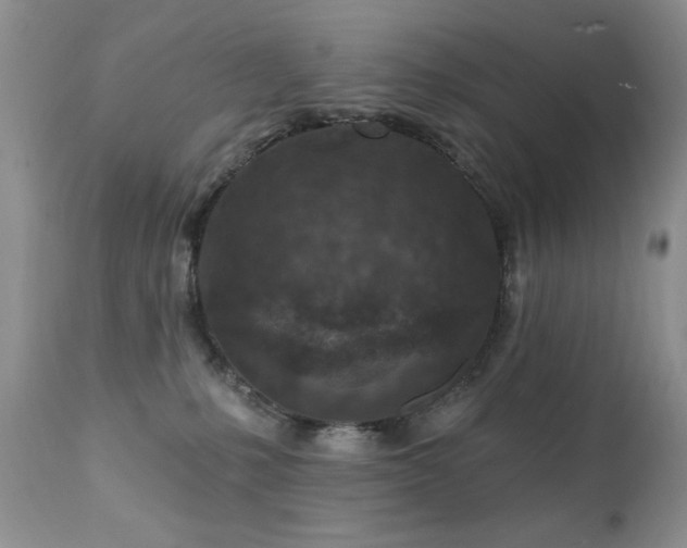 X0000112460231200908171210