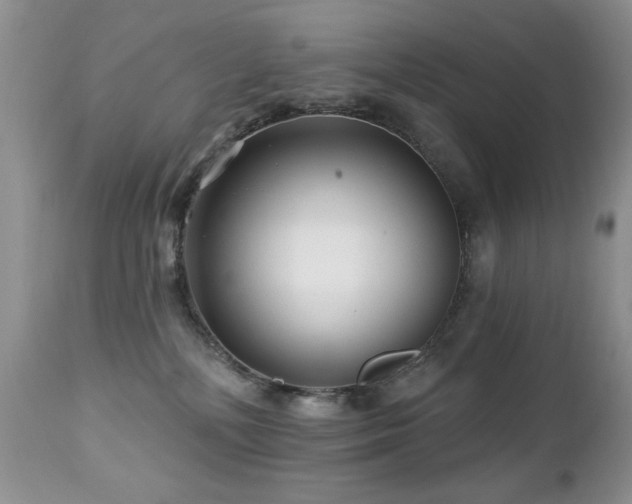 X0000112460232200908171210