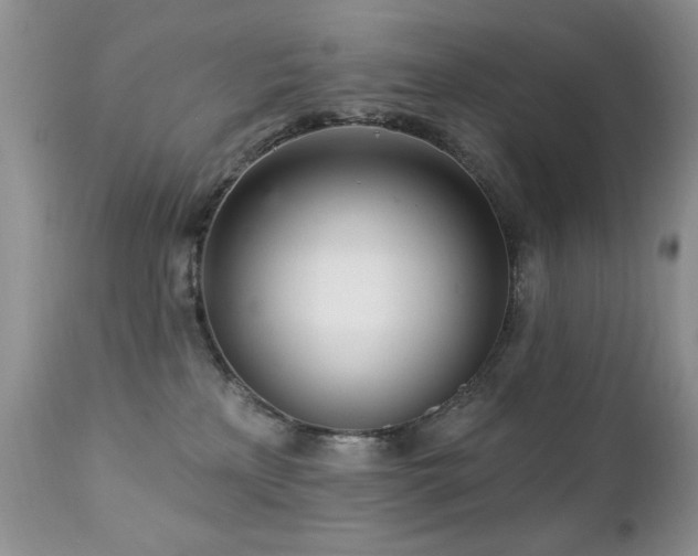 X0000112460233200908171210