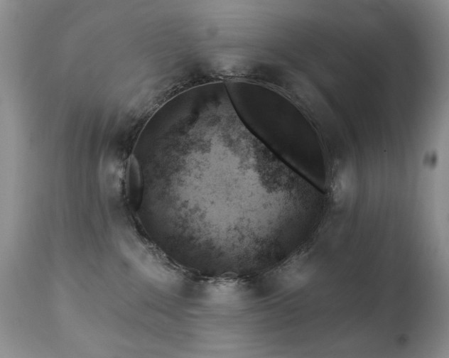 X0000112460235200908171210