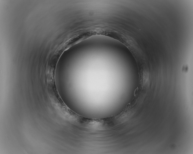 X0000112460236200908171210