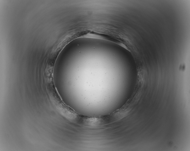 X0000112460237200908171210