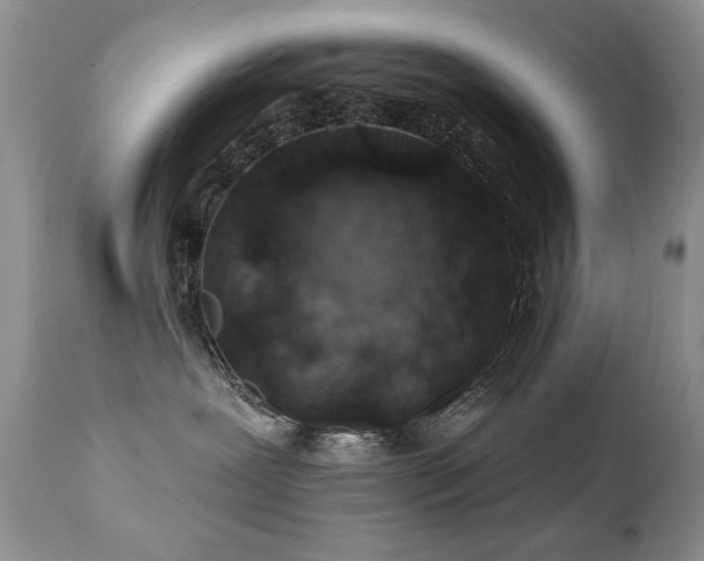 X0000112460239200908171210