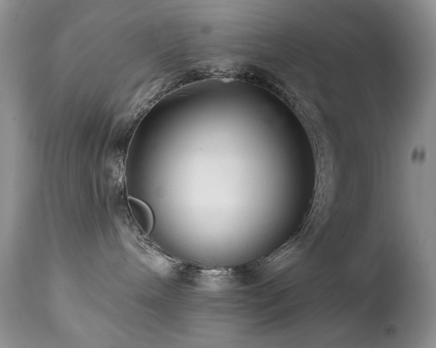 X0000112460240200908171210