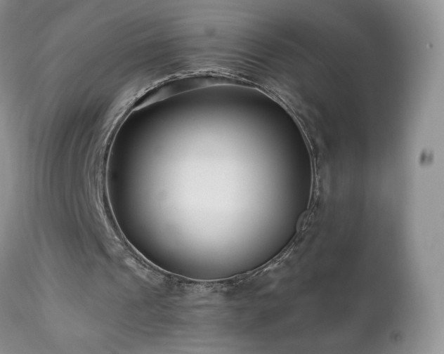 X0000112460241200908171210