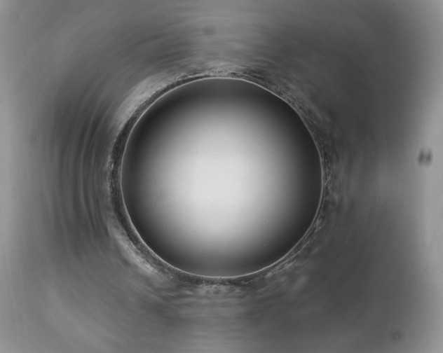 X0000112460242200908171210
