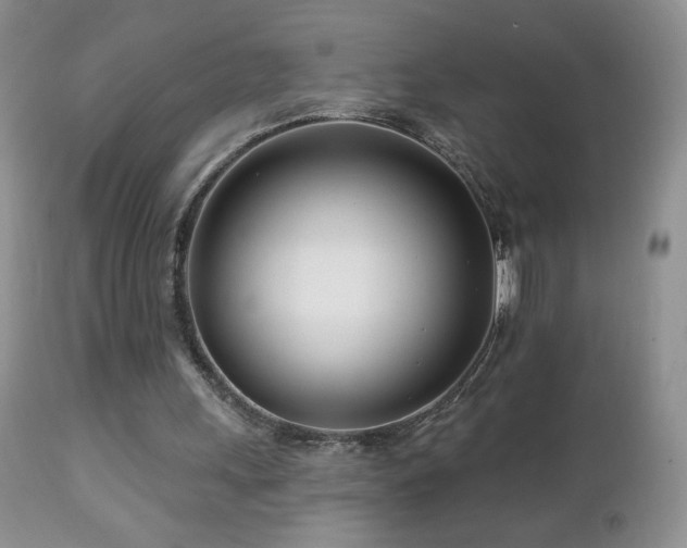 X0000112460243200908171210