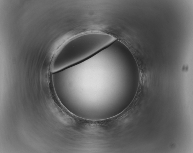 X0000112460244200908171210