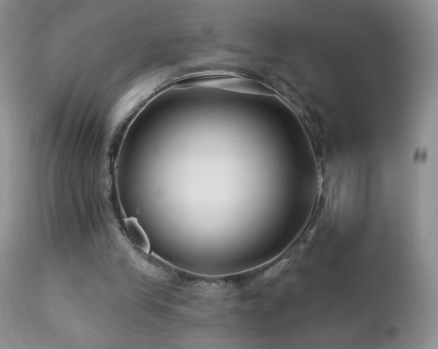 X0000112460245200908171210