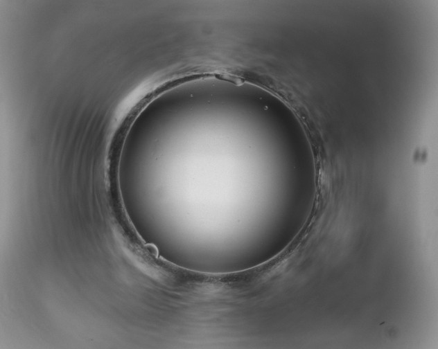 X0000112460246200908171210