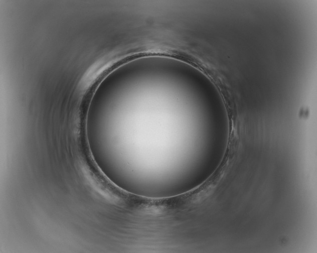 X0000112460247200908171210