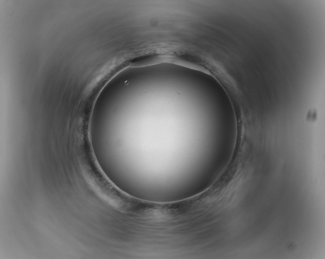 X0000112460250200908171210