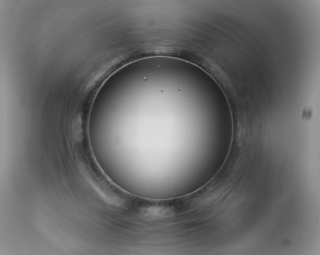 X0000112460251200908171210
