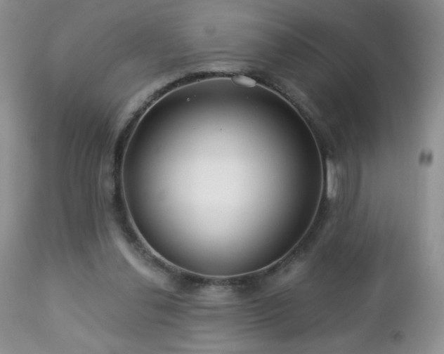 X0000112460252200908171210