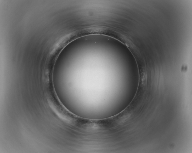 X0000112460254200908171210