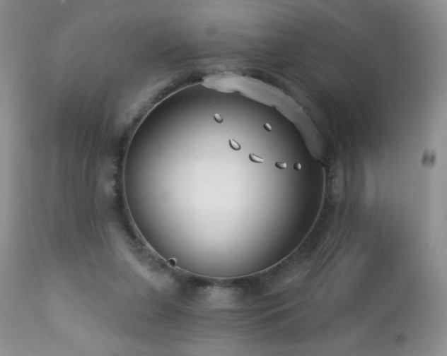 X0000112460255200908171210