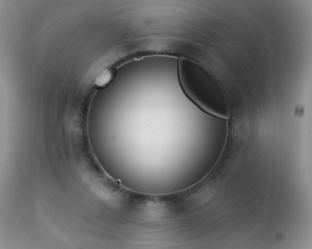 X0000112460256200908171210