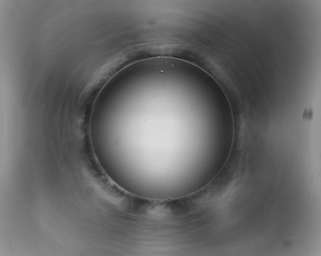 X0000112460258200908171210