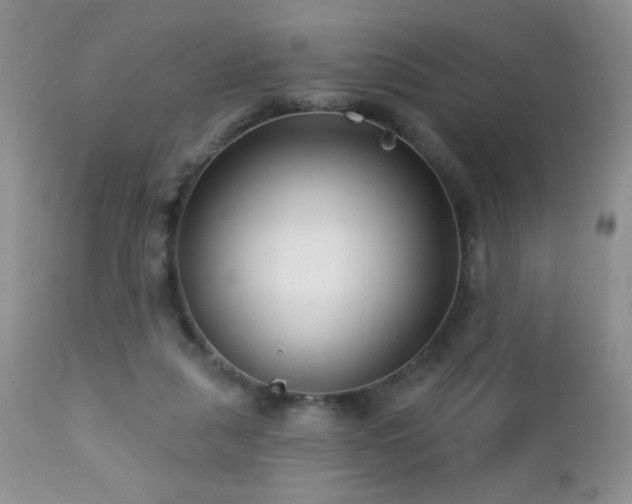 X0000112460259200908171210