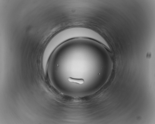 X0000112460260200908171210