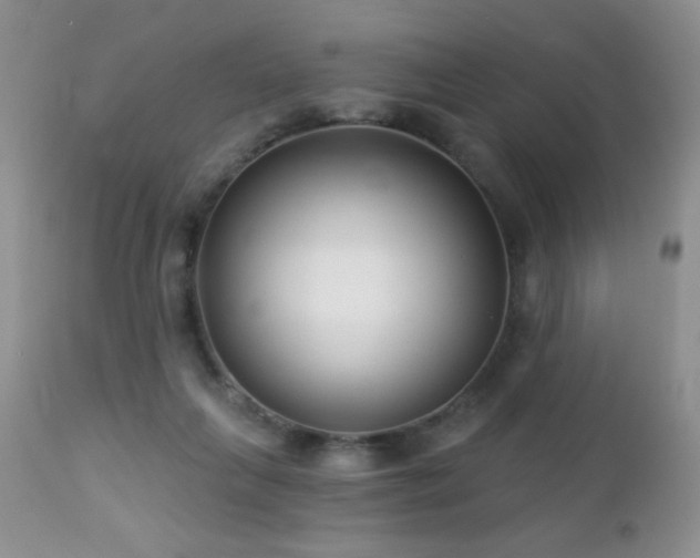 X0000112460263200908171210
