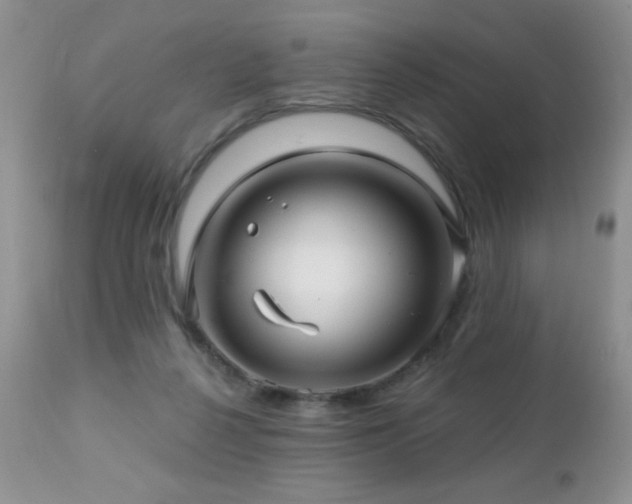 X0000112460264200908171210