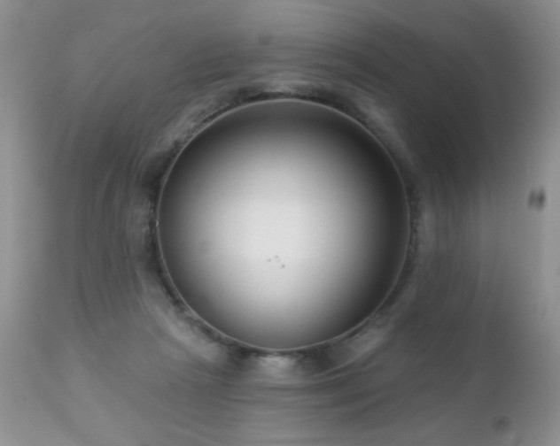 X0000112460265200908171210