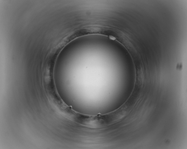 X0000112460267200908171210